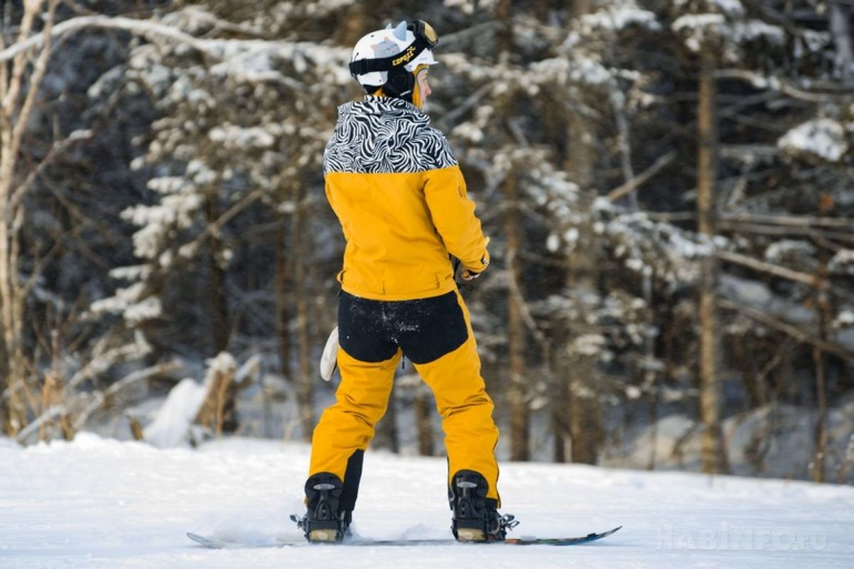 Какой сегодня день: Всемирный день сноубординга
