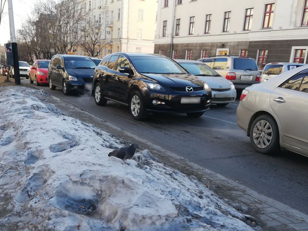 В Хабаровском крае чиновника судят за&nbsp;растрату 6 миллионов на&nbsp;невыполнение дорожных работ