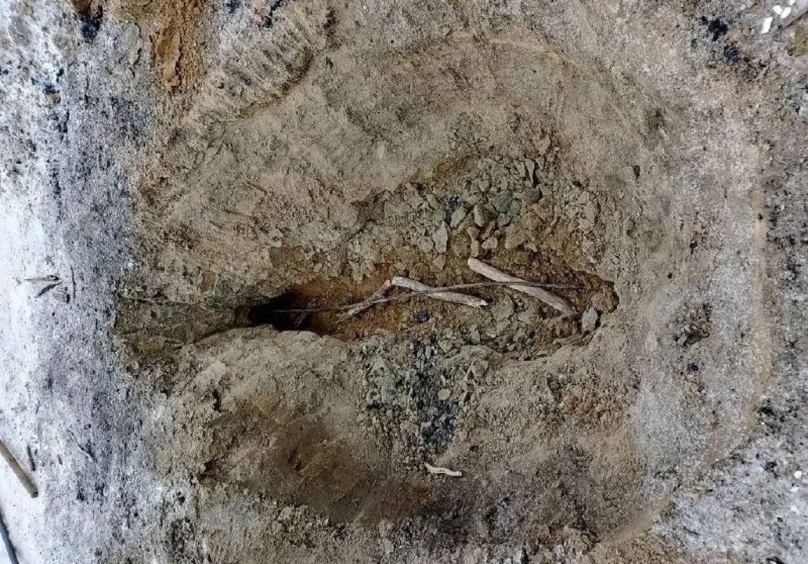 В двух сёлах Ульчского района восстановили связь после обрыва оптоволоконного кабеля