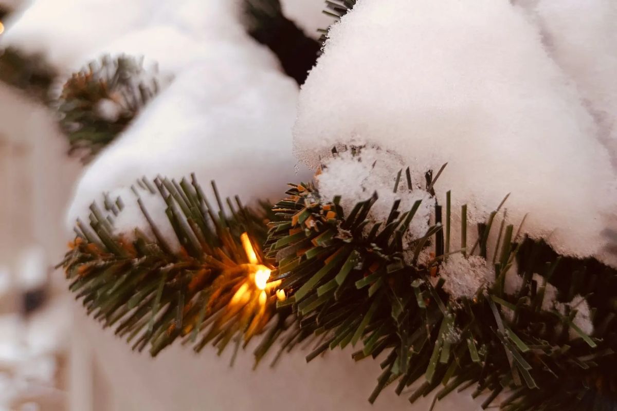 Погода в&nbsp;Хабаровске на&nbsp;январь 2026 года: ждём солнце и&nbsp;крепкие морозы