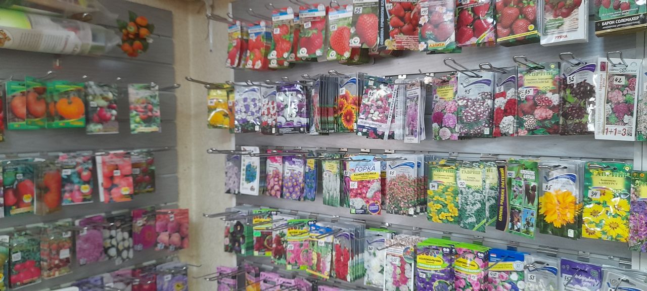 Путеводитель по&nbsp;семенам для&nbsp;хабаровских дачников: что&nbsp;посадить в&nbsp;этом году