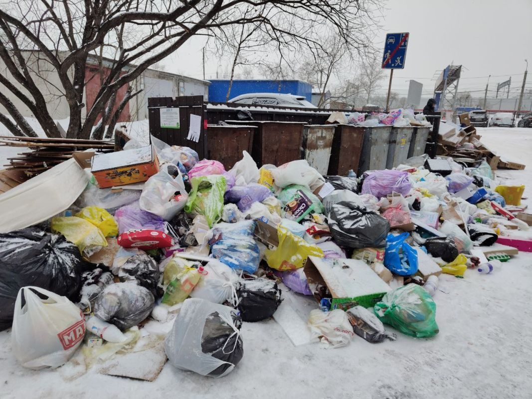 В Хабаровске усилят вывоз мусора с&nbsp;проблемных контейнерных площадок в&nbsp;новогодние праздники