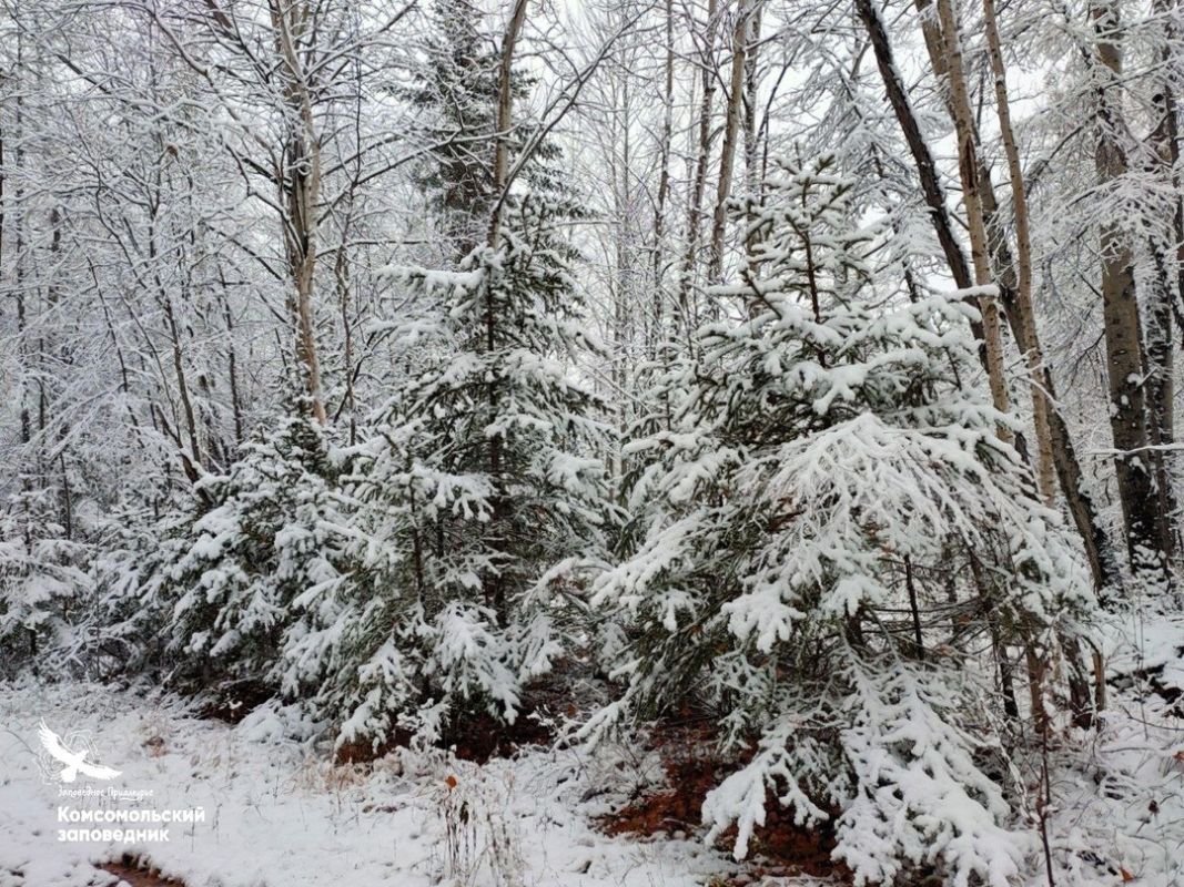 Хабаровчанам напомнили о&nbsp;правилах посещения заповедников и&nbsp;нацпарков