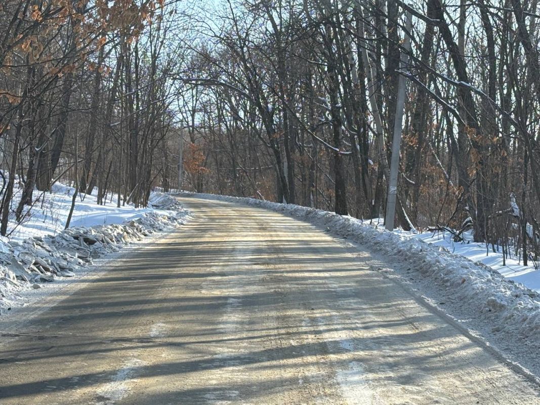 Подъезд к&nbsp;Зоосаду имени Сысоева привели в&nbsp;нормативное состояние