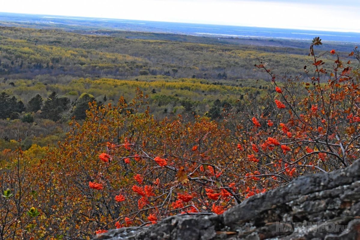 Какой сегодня день: День заповедников и&nbsp;национальных парков в&nbsp;России