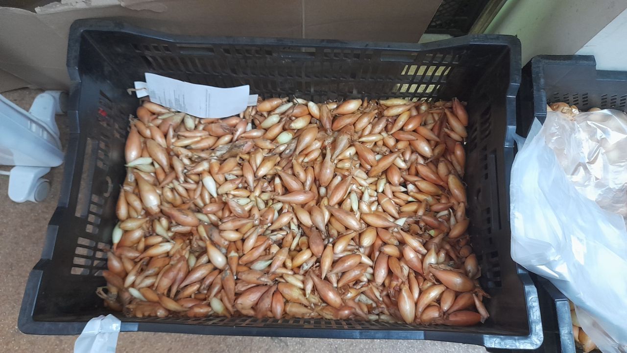 Урожай на&nbsp;Дальнем Востоке: почему районирование — это важно