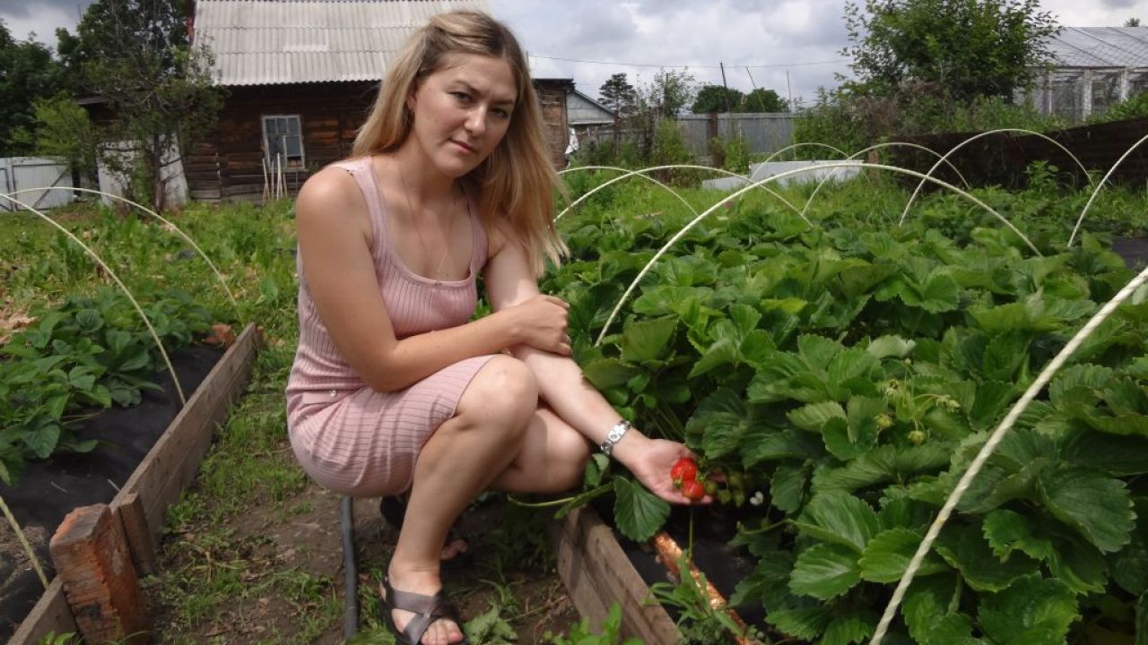 Дача молодости не помеха: тридцатилетняя хабаровчанка выращивает экоклубнику