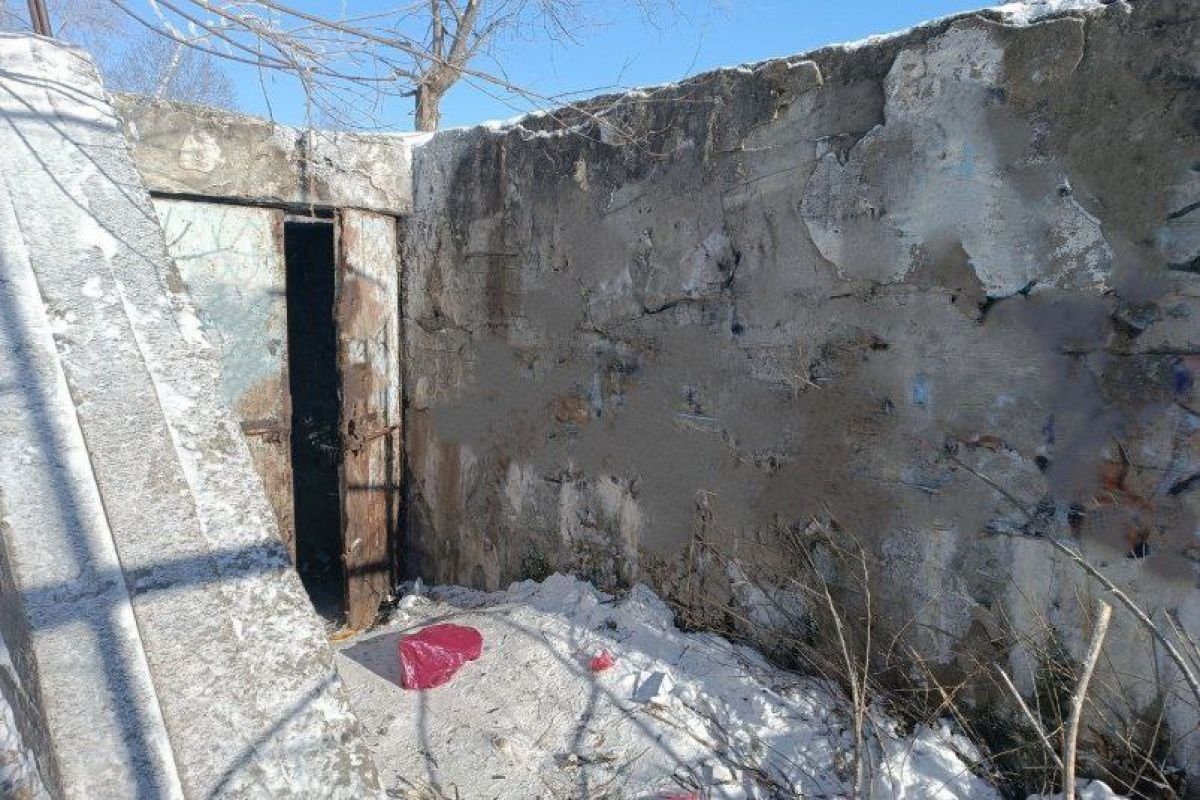 Прокуратура проверяет заброшенное бомбоубежище рядом с&nbsp;детским садом в&nbsp;Биробиджане