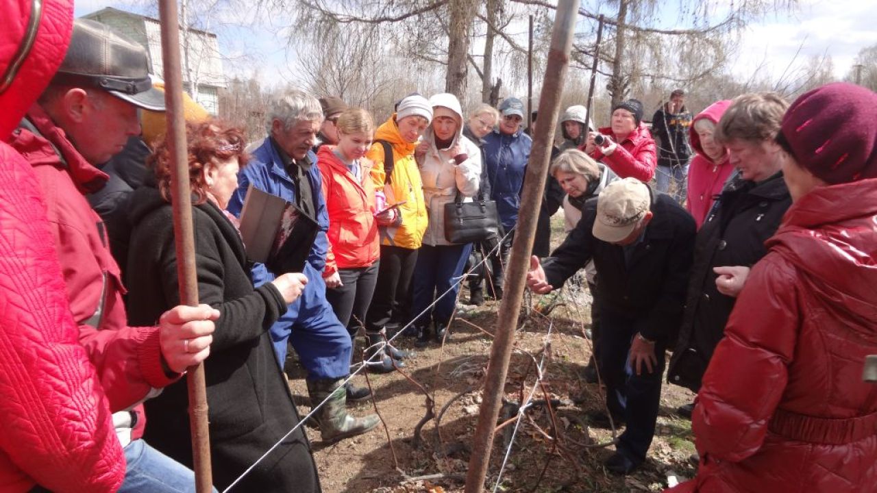 Мастер-класс по весенней агротехнике винограда провел народный испытатель Сергей Чудопалов