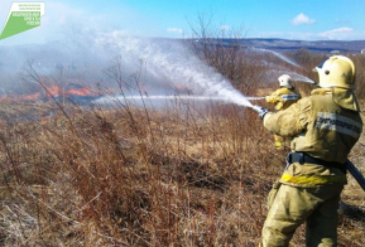 В Хабаровском крае сократилось число лесных пожаров в&nbsp;2,5 раза