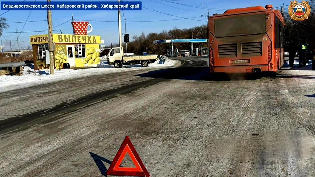 В Хабаровском районе девочка попала под&nbsp;колёса автобуса