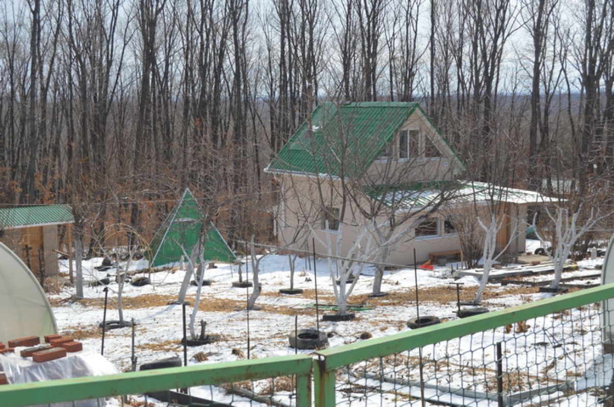 Законопроекты: хабаровским садоводам упростят оформление общего имущества СНТ