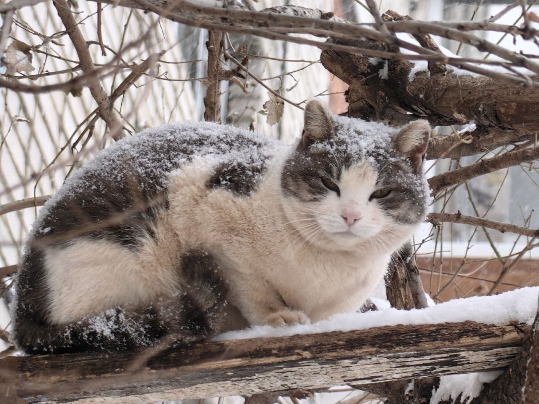 Магнитные бури, радиационный фон и&nbsp;пробки в&nbsp;Хабаровске 8 февраля
