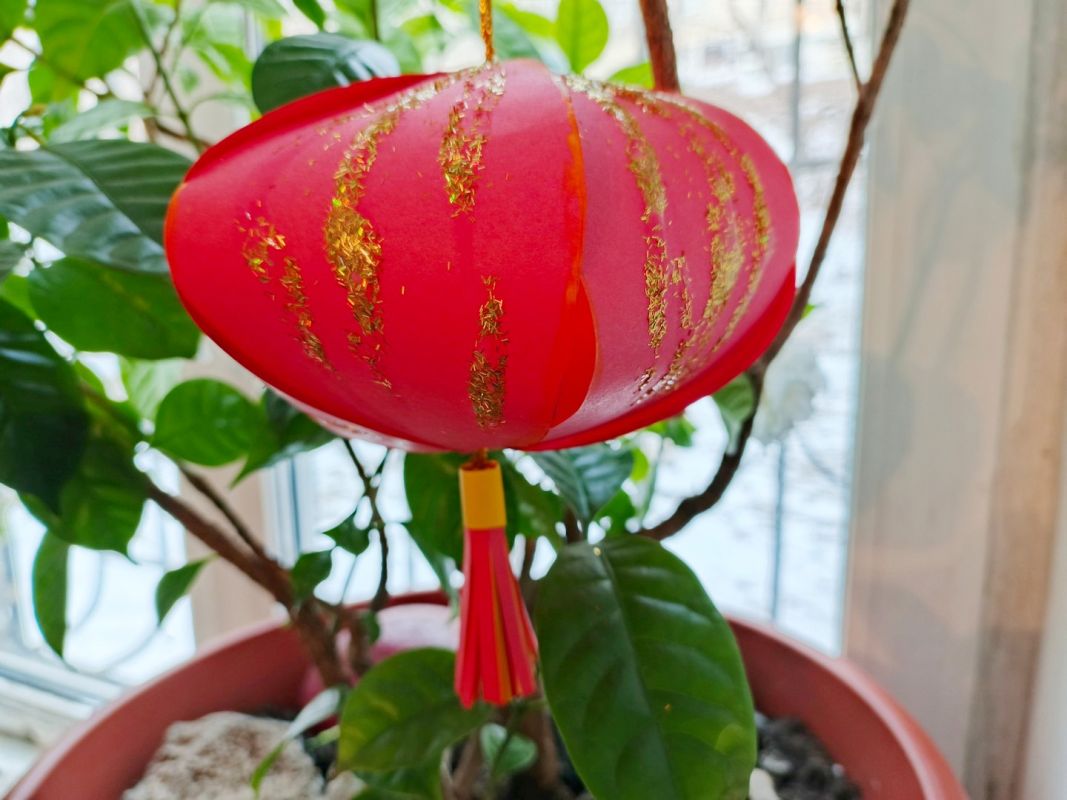 Мастер класс от&nbsp;«Хабинфо»: китайский новогодний фонарик