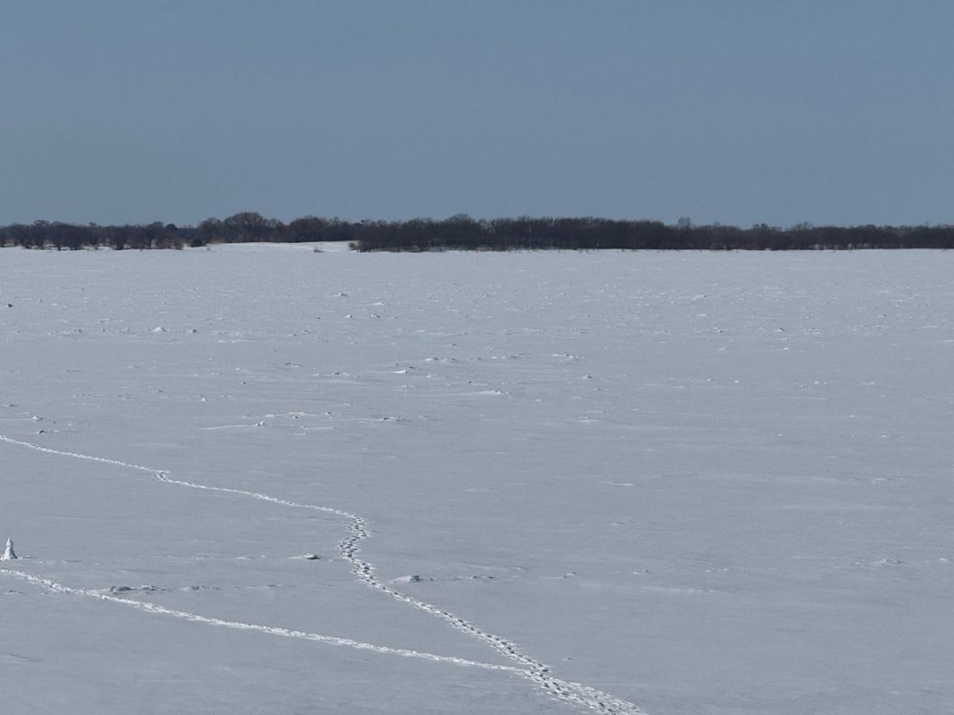 В Хабаровском крае зарегистрирована новая ледовая переправа через&nbsp;Амур