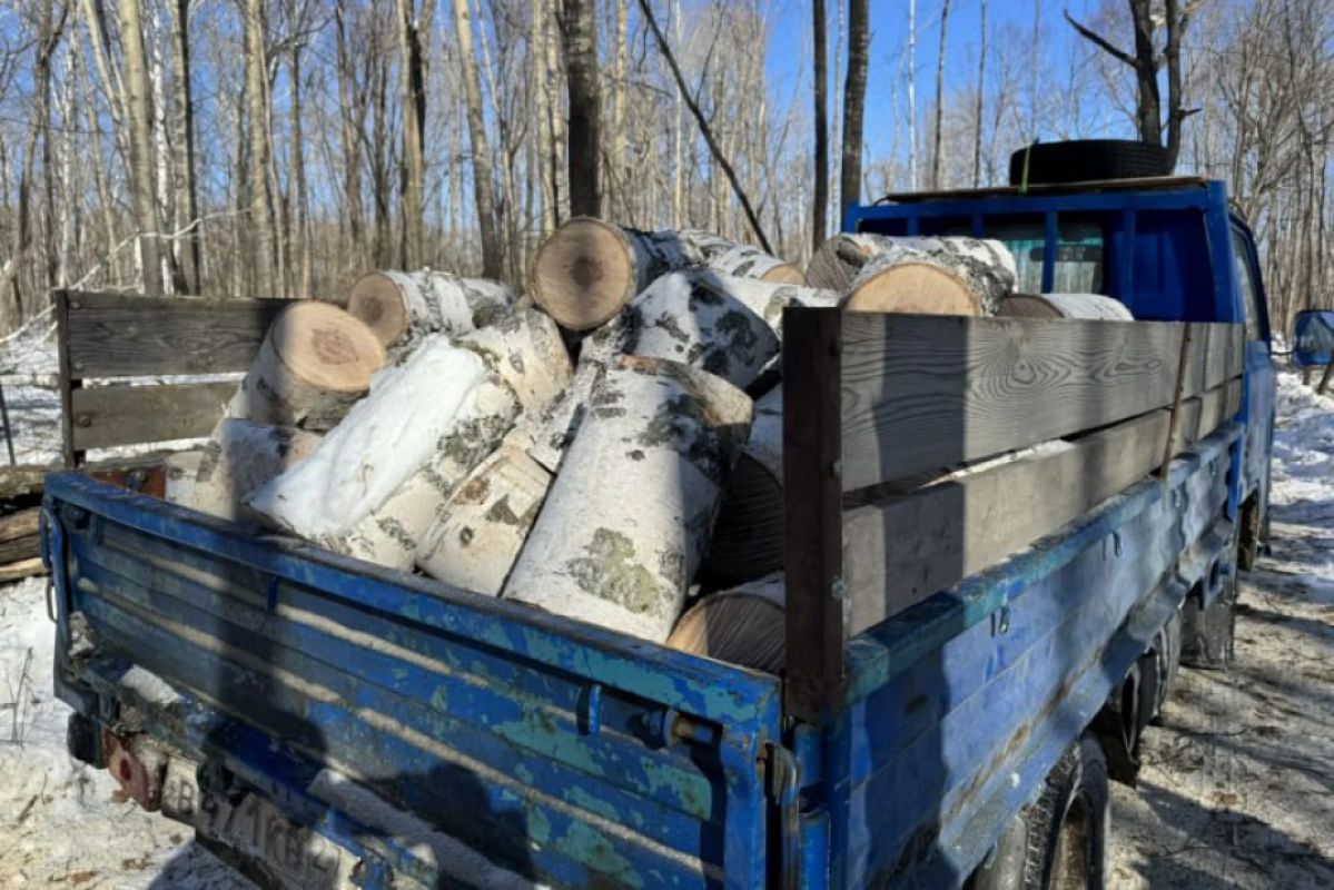 Жителям Хабаровского края напомнили о&nbsp;правилах вырубки леса