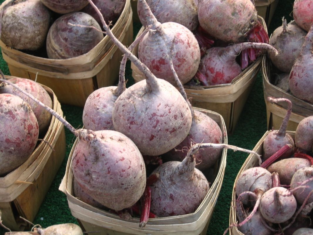 Секрет большой свеклы