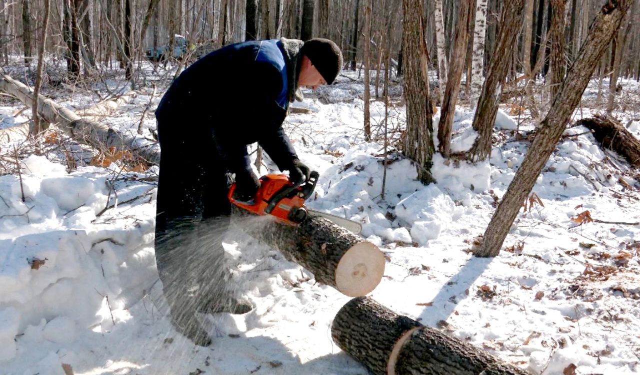 Откуда дровишки: как&nbsp;хабаровчанам запасти дрова на&nbsp;зиму на&nbsp;законных основаниях
