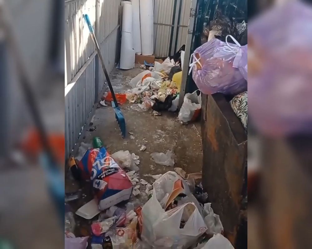 В Хабаровске экипажи мусоровозов вынуждены выполнять работу дворников