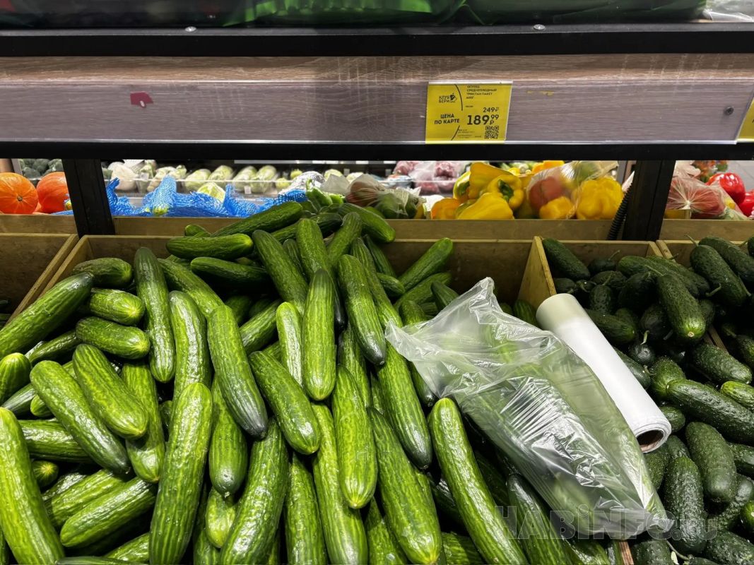 Огурец в&nbsp;шоке: репортаж из&nbsp;хабаровских магазинов, где овощ стоит дороже экзотических фруктов