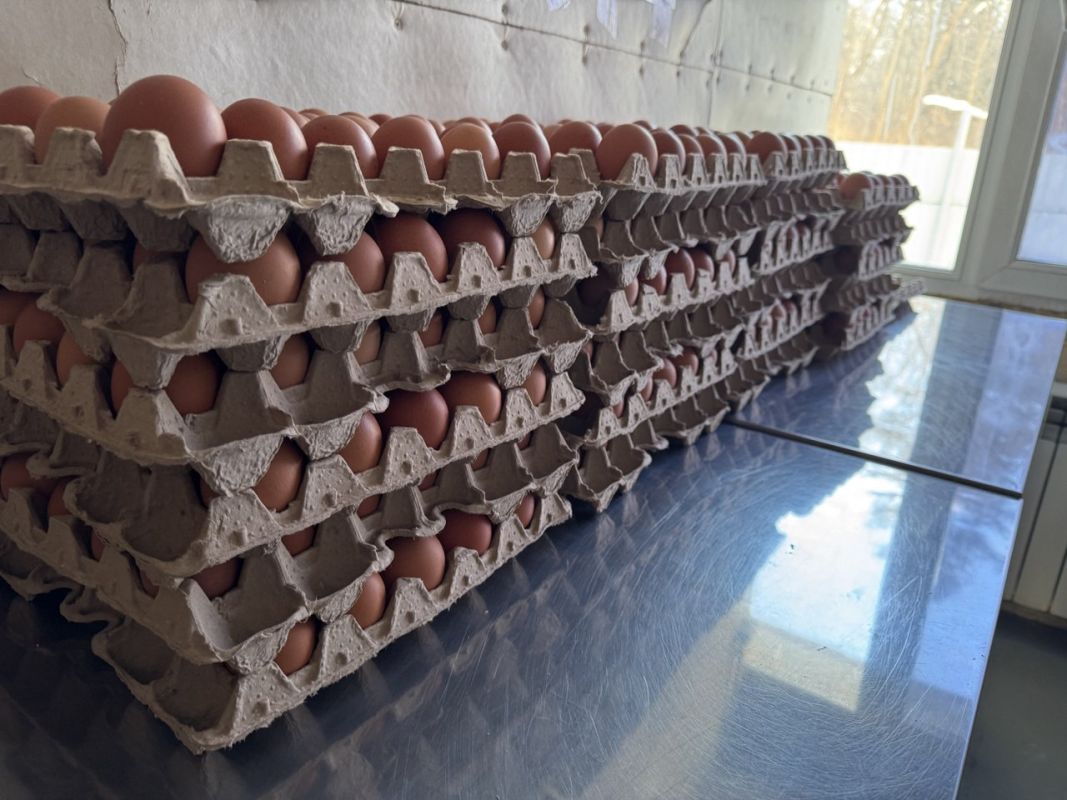 Производство куриных яиц в&nbsp;отдалённом посёлке Хабаровского края наладил местный фермер