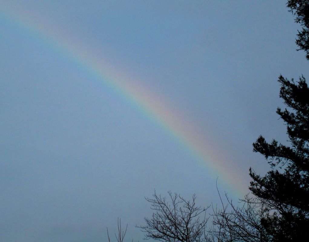 Над Хабаровском замечена редкая зимняя радуга
