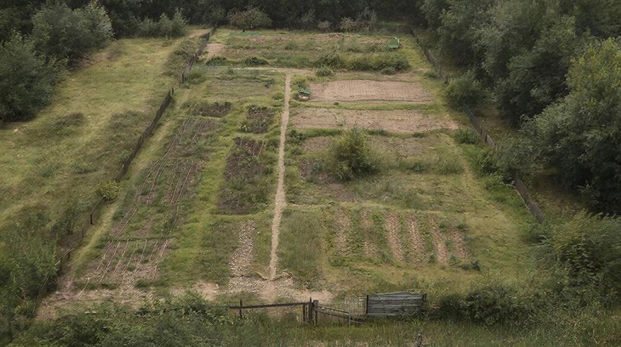 Земельный участок без&nbsp;границ в&nbsp;Хабаровском крае: почему это проблема и&nbsp;как её решить