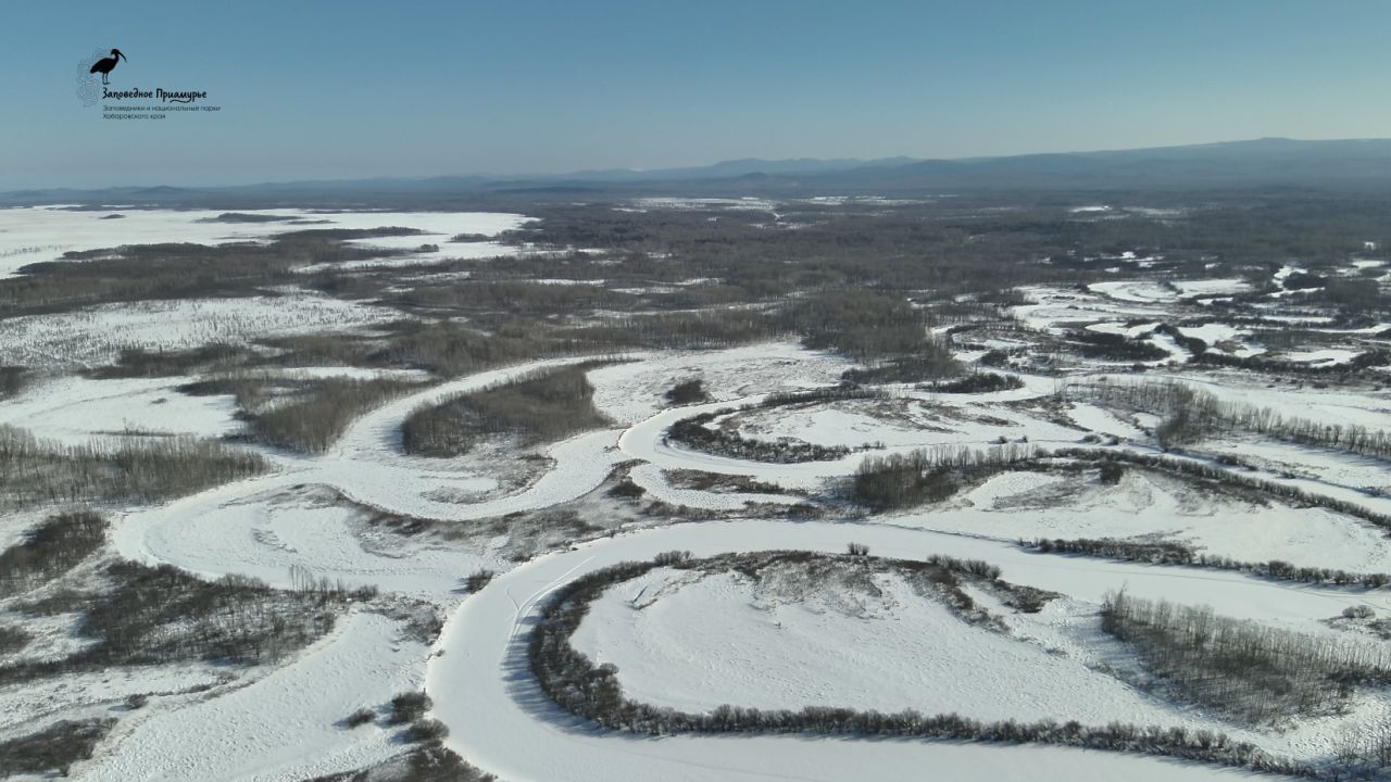 За два года дрон помог поймать более 100 нарушителей в&nbsp;нацпарках Хабаровского края