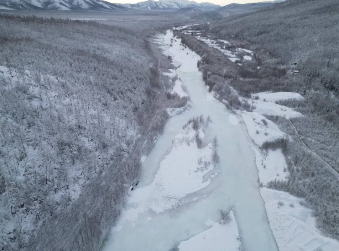 Учёные зафиксировали продвижение амурского тигра на&nbsp;север Хабаровского края