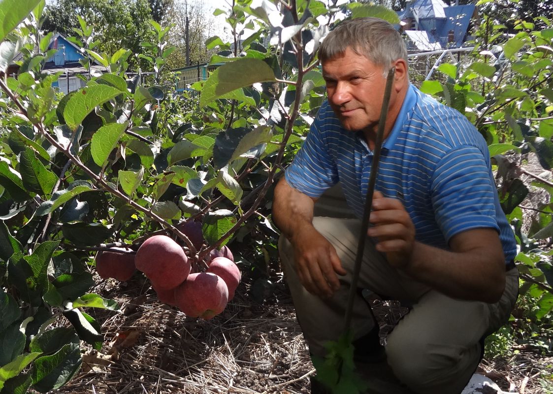 Сад, стелющийся по&nbsp;земле: история хабаровчанина Сергея Силина