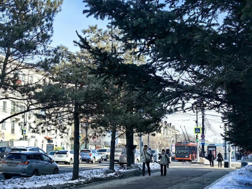 Магнитные бури, радиационный фон и&nbsp;пробки в&nbsp;Хабаровске 9 марта