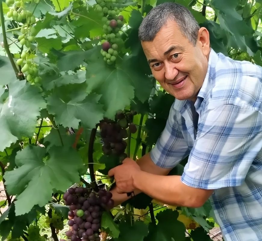 Питомник «Макаревич» — надежный партнер для&nbsp;садоводов Дальнего Востока