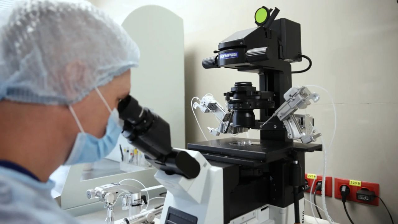 В Хабаровске помогают парам с&nbsp;бесплодием со&nbsp;всего Дальнего Востока