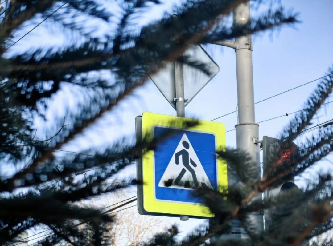 11 нетрезвых водителей остановили на&nbsp;дорогах Хабаровского края