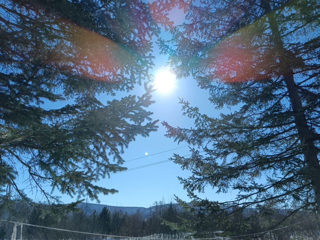 Какой сегодня день: День работников гидрометеорологической службы России