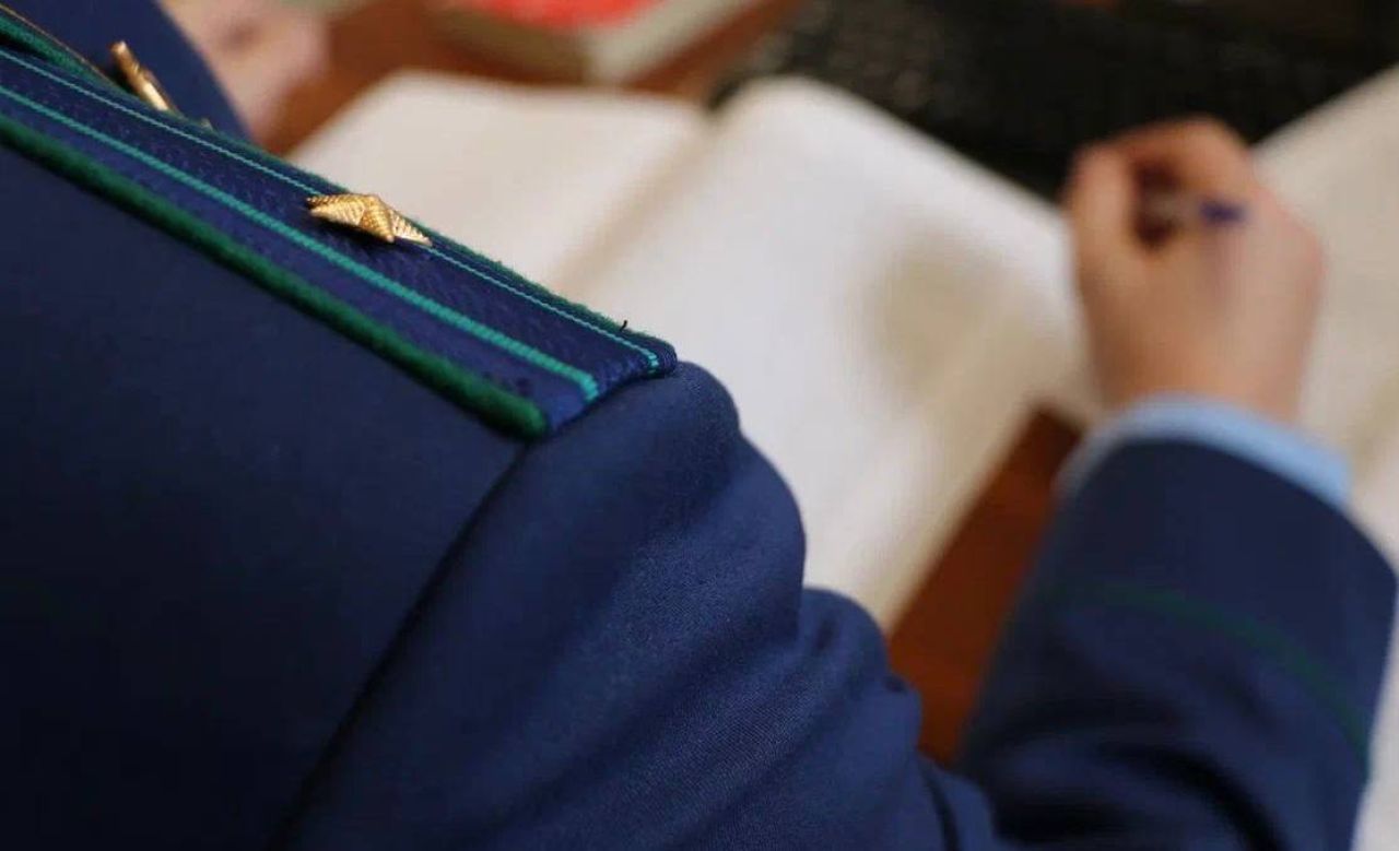 В Городе юности осудили сотрудницу управляющей компании за&nbsp;падение дерева на&nbsp;ребенка