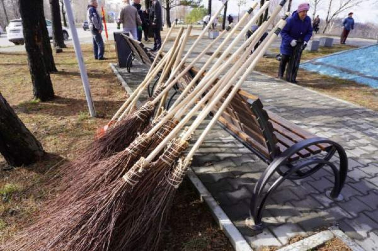 В мэрии Хабаровска утвердили график субботников и&nbsp;план озеленения