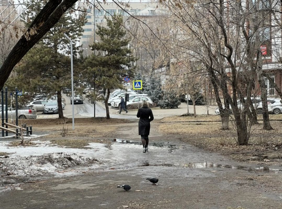 Магнитные бури, радиационный фон и&nbsp;пробки в&nbsp;Хабаровске 29 марта