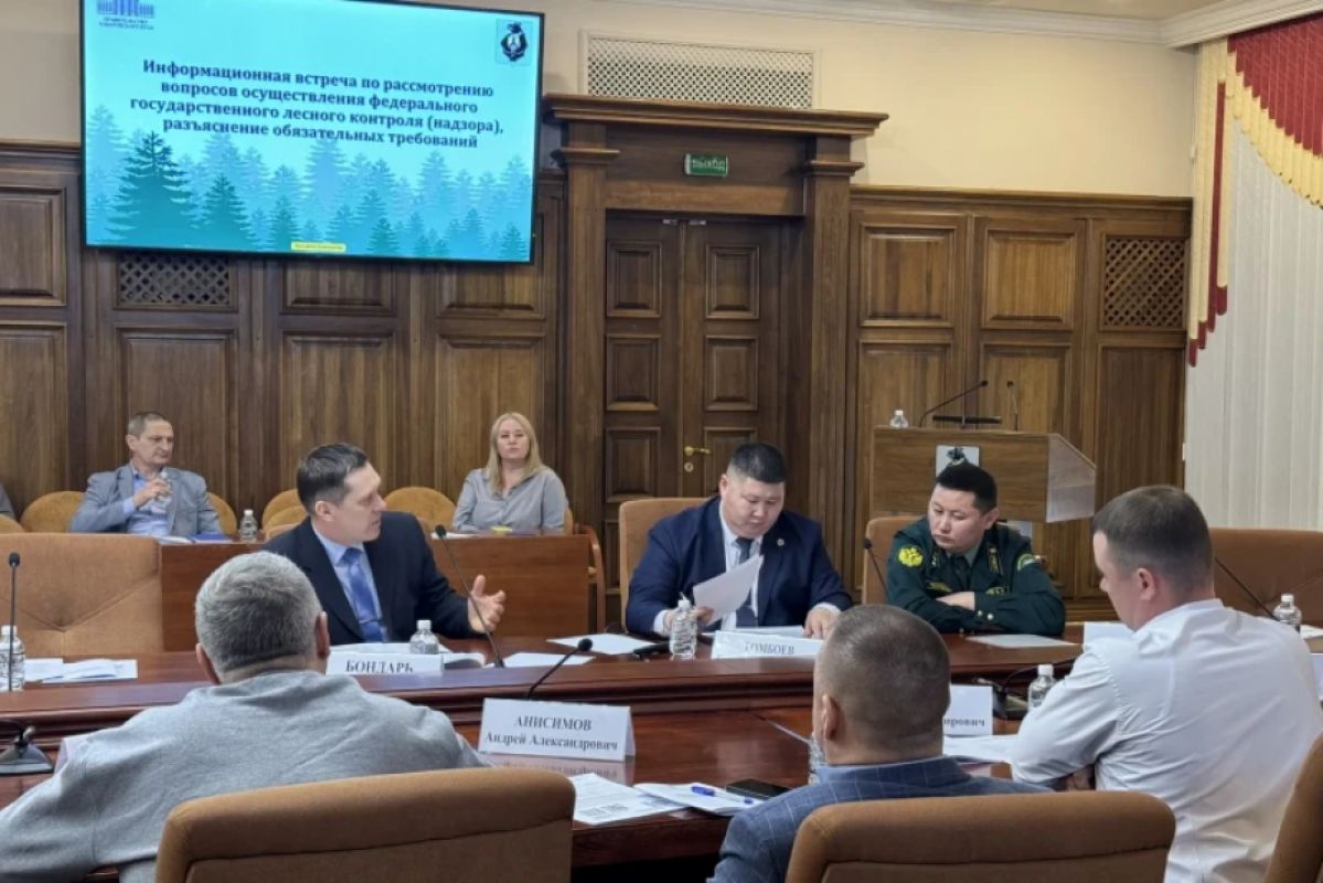 В Хабаровском крае утвердили новые правила для&nbsp;лесного бизнеса