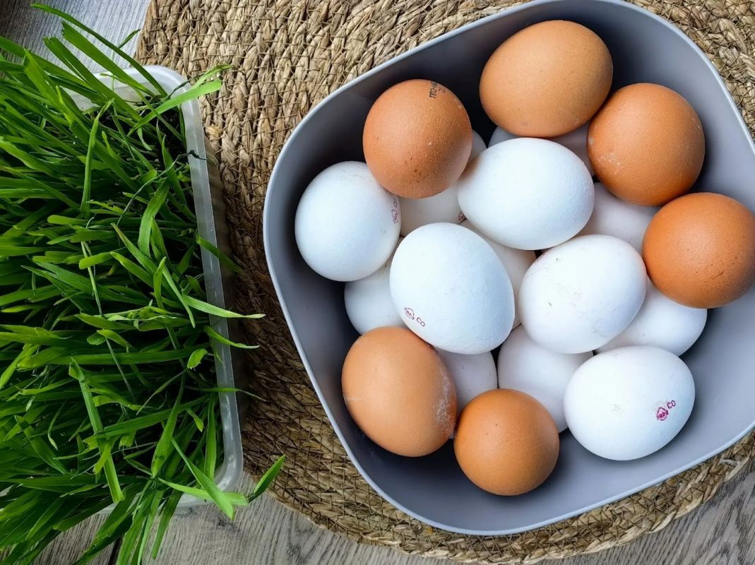 Золотые яйца: сколько хабаровчане заплатят за&nbsp;десяток к&nbsp;празднику Пасхи — 2026