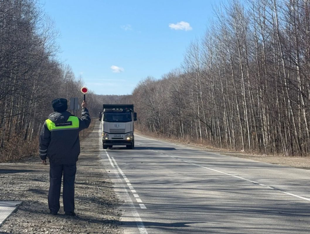В Хабаровском крае ввели весогабаритный контроль для&nbsp;большегрузов
