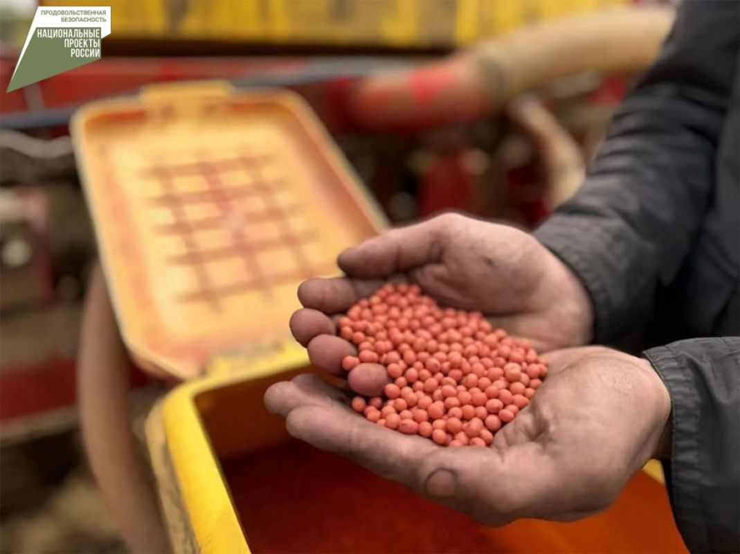 Хабаровским аграриям бесплатно предоставят новые сорта семян отечественной селекции