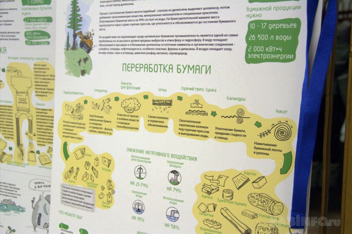 Какой сегодня день: День экологических знаний