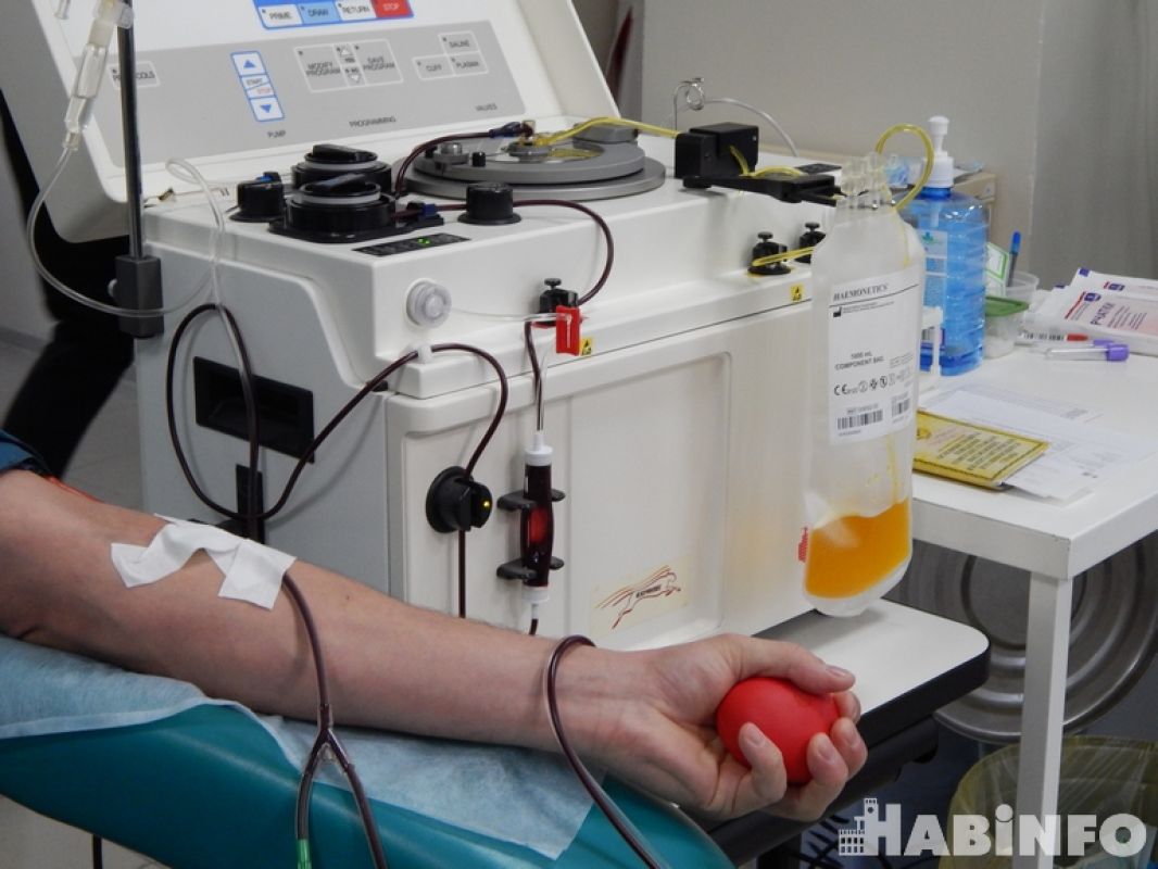 Какой сегодня день: Национальный день донора крови в&nbsp;России
