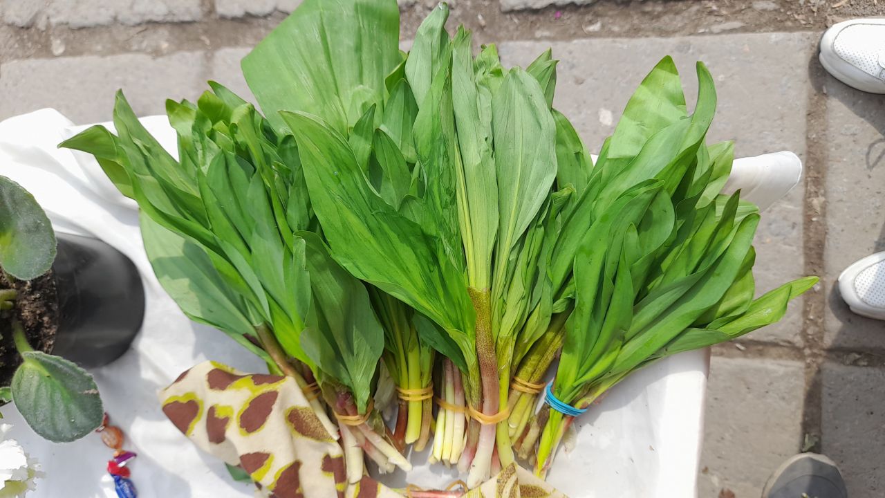 Весенний деликатес: в&nbsp;Хабаровске появилась первая черемша