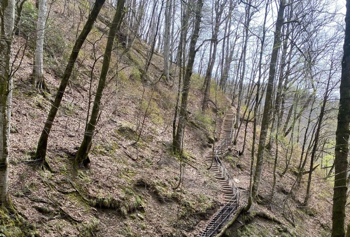 В Хабаровском крае потушили все лесные пожары