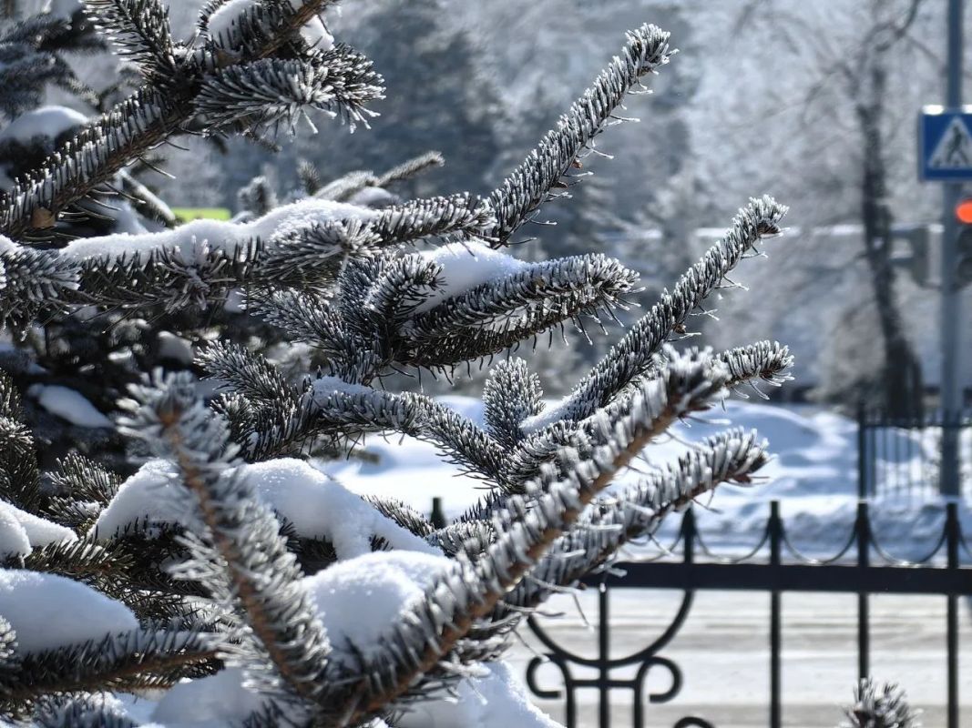 Апрельская сказка: Хабаровск засыпало снегом