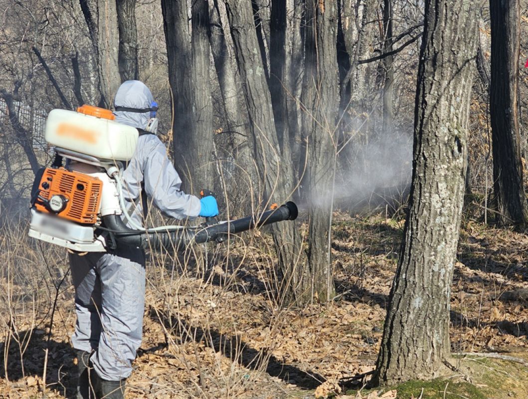 «Биощит» против клещей создают в&nbsp;Хабаровском крае