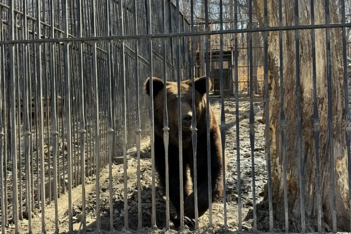 Вкусняшки для&nbsp;Эльфика, или Почему стоит заглянуть в&nbsp;зоосад этой весной&nbsp;