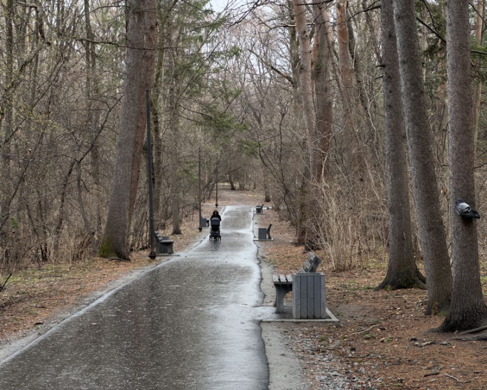 На благоустройство Хабаровского дендрария направили более тридцати миллионов рублей